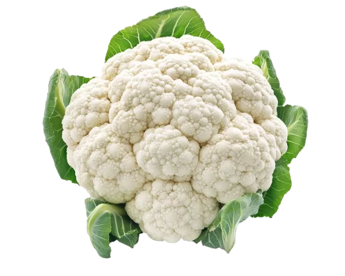 Fresh Cauliflower