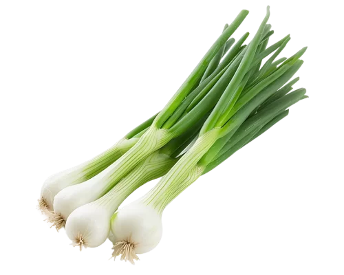 Green Onion