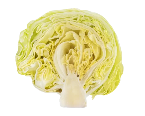 Iceberg Lettuce