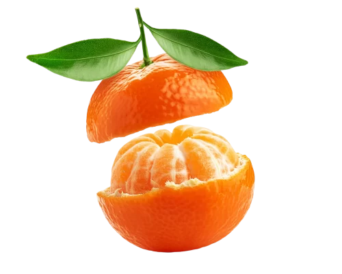 Mandarin Clementine